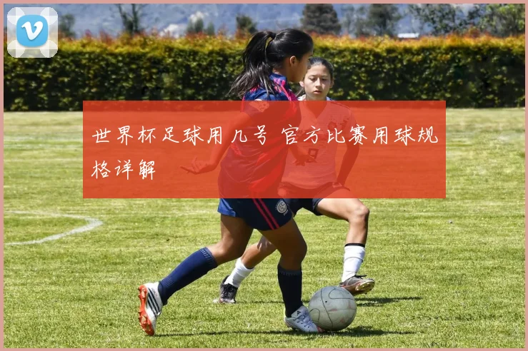 世界杯足球用几号 官方比赛用球规格详解