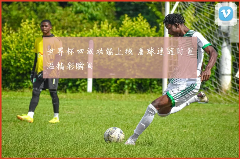 世界杯回放功能上线 看球迷随时重温精彩瞬间