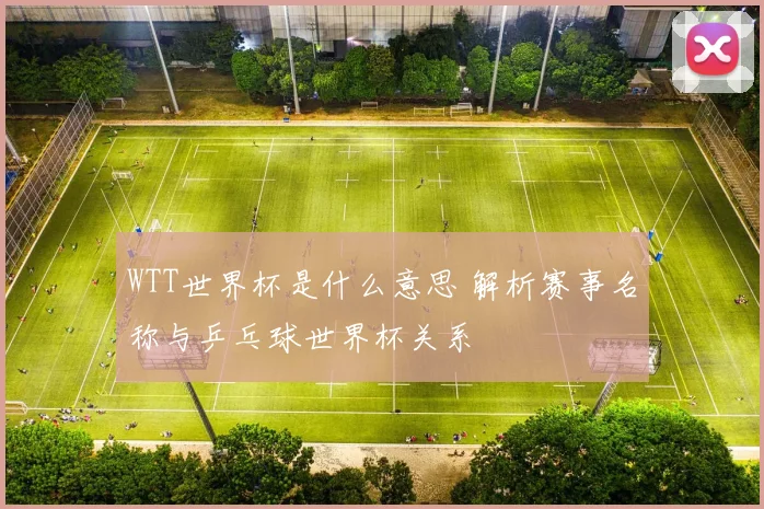 WTT世界杯是什么意思 解析赛事名称与乒乓球世界杯关系